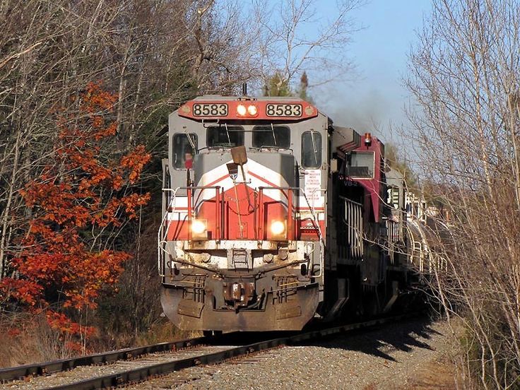 a train is traveling down the tracks in the fall season with leaves on the trees