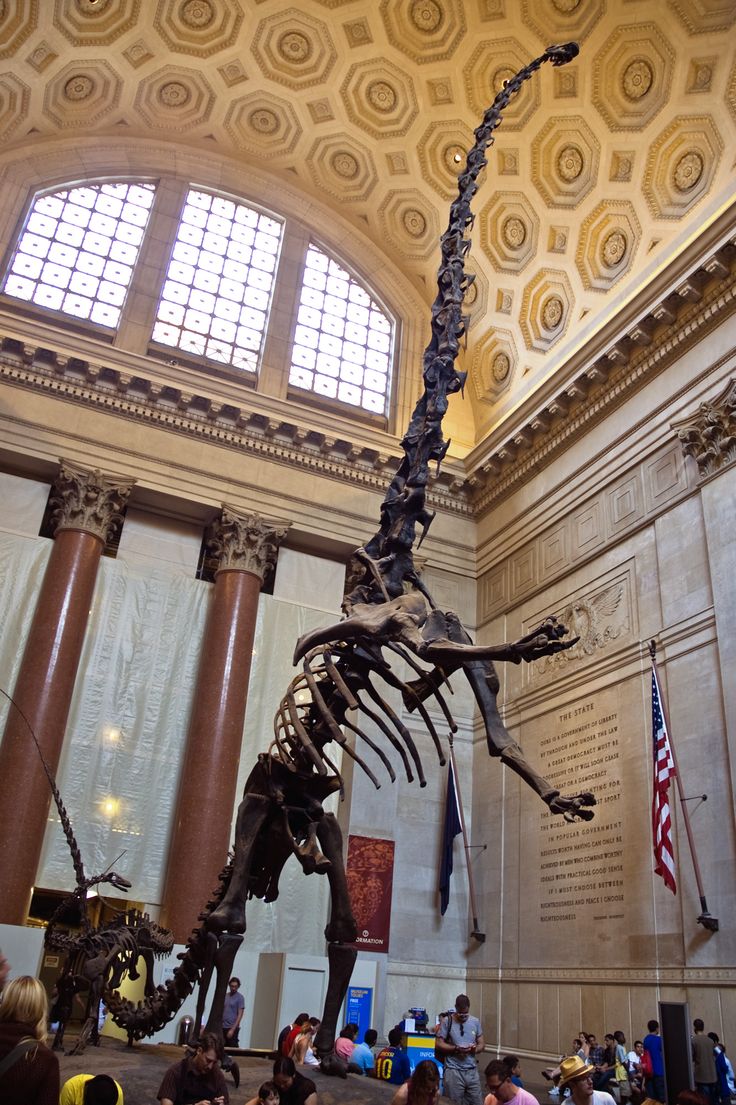 a large dinosaur skeleton is in the middle of a room with people sitting and standing around