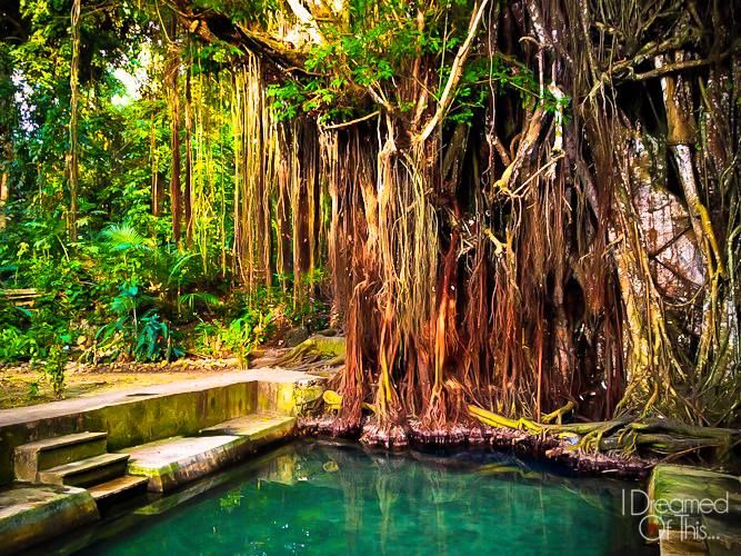 an outdoor swimming pool surrounded by trees in the jungle with blue water and steps leading up to it