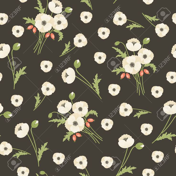 seamless floral pattern with white flowers and green leaves on black background stock photo, picture