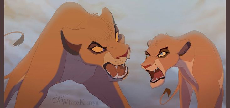 two lions facing each other with their mouths open