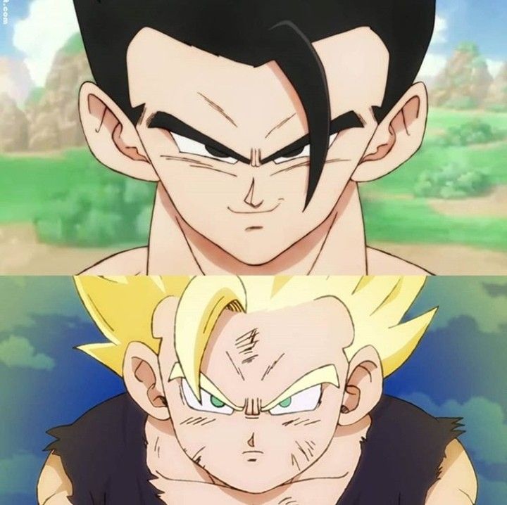 the two faces of gohan and vegeta from dragon ball super broly