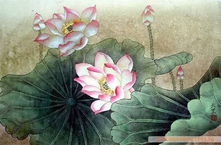 a painting of pink flowers and leaves on a green leafy plant with water droplets