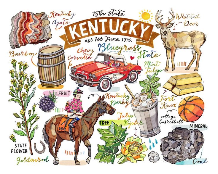 kentucky state map with all the things to see