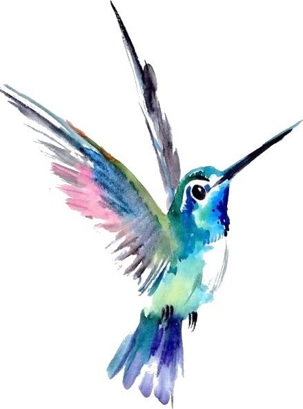 a watercolor painting of a hummingbird in flight