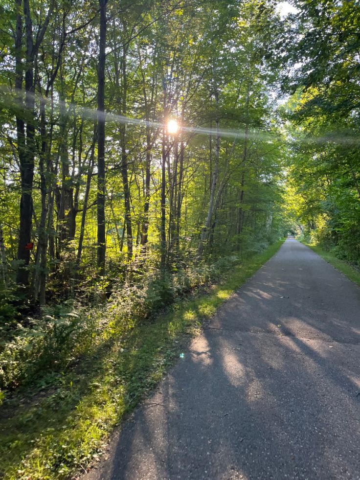 the sun shines brightly through the trees on this road