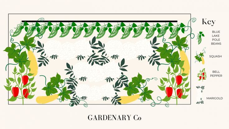 the diagram shows how to make a garden rug with plants and flowers on it, including peppers