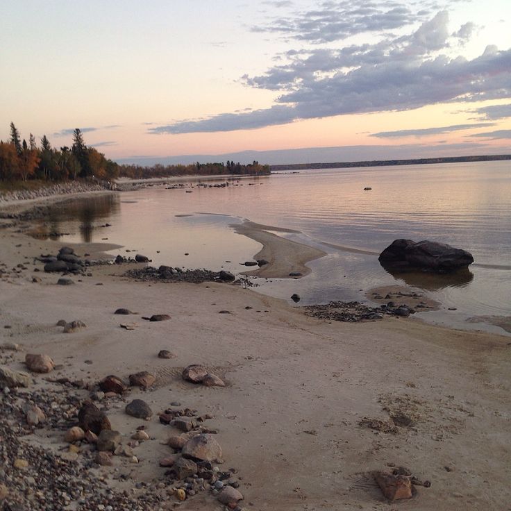 there is a beach with rocks and water in the foreground, and trees on the other side