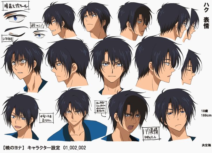 an anime character's face and hair with various expressions, including the eyes and head