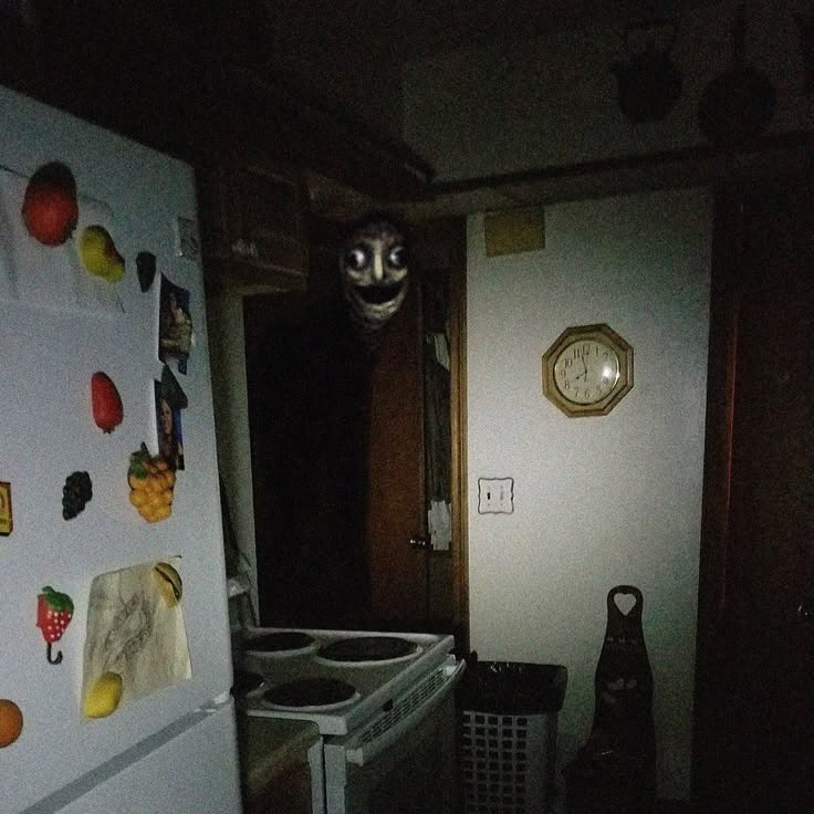 a refrigerator with magnets on it and a cat head hanging from the front door