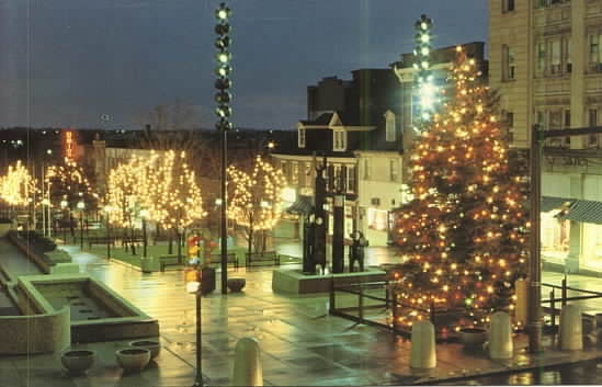 a christmas tree is lit up in the city