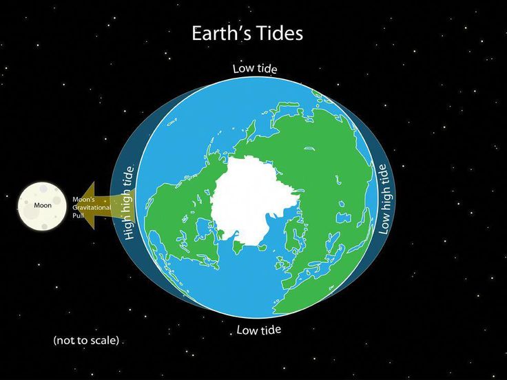 the earth's tides are shown in this diagram from nasa, which shows how it is