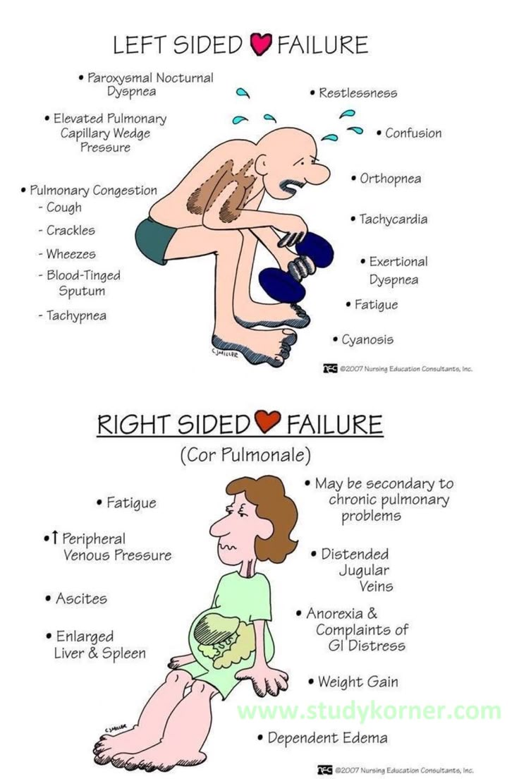 the different types of human body parts and how they are used to describe them in this cartoon