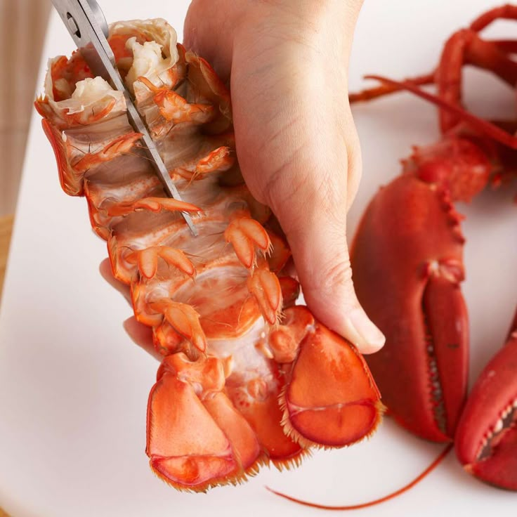 a person cutting up some lobsters on a white plate