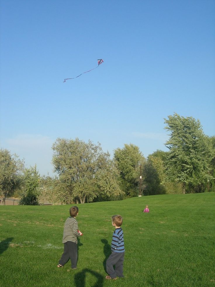 two young boys are flying a kite in the park