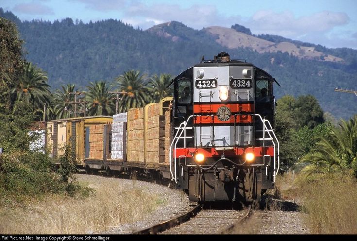 a train is traveling down the tracks with many cargo cars on it's back