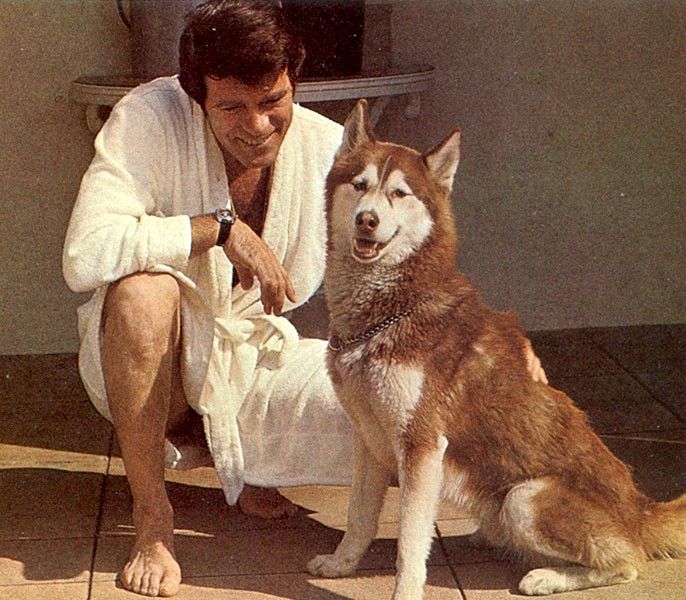 a man sitting next to a brown and white dog on top of a tile floor