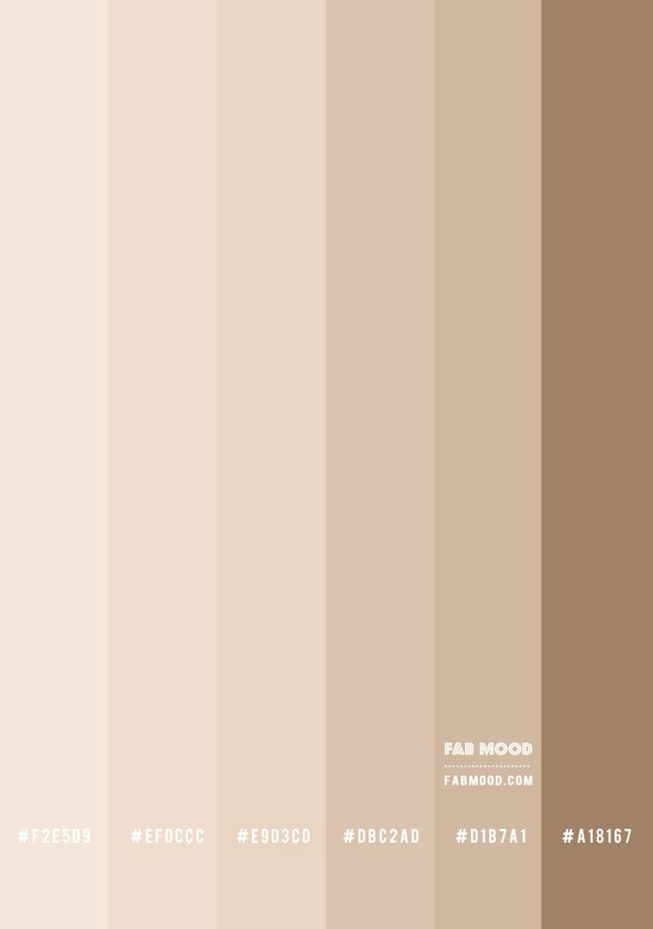 an image of the same color scheme for different things in the world that are brown and beige