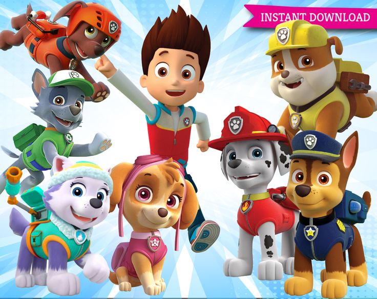 the paw patrol characters are all dressed up and ready to be played in this video game