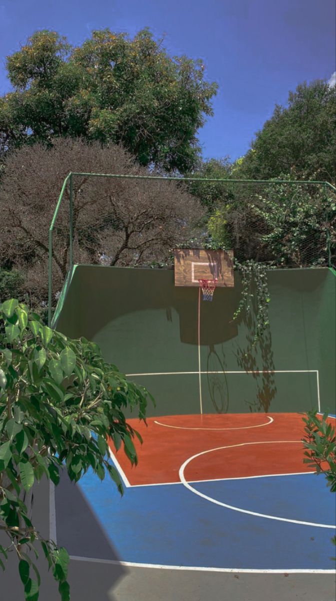 an outdoor basketball court surrounded by trees and bushes, with a basket ball hoop in the air