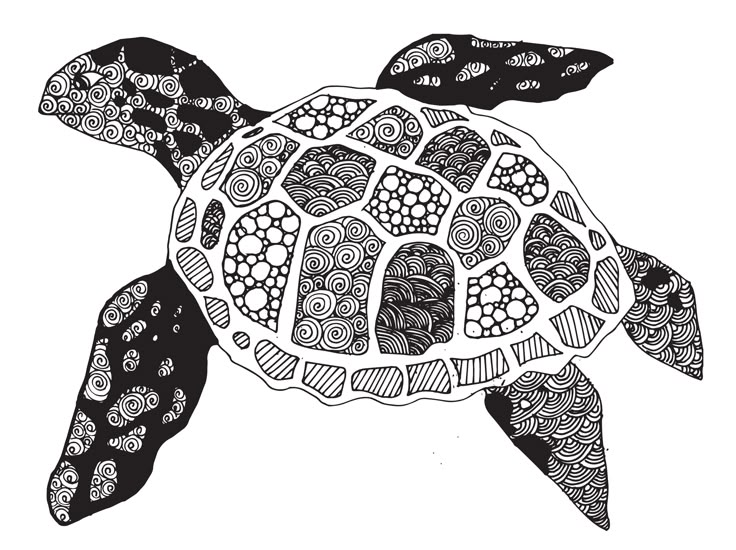 a black and white drawing of a turtle with intricate designs on it's shell