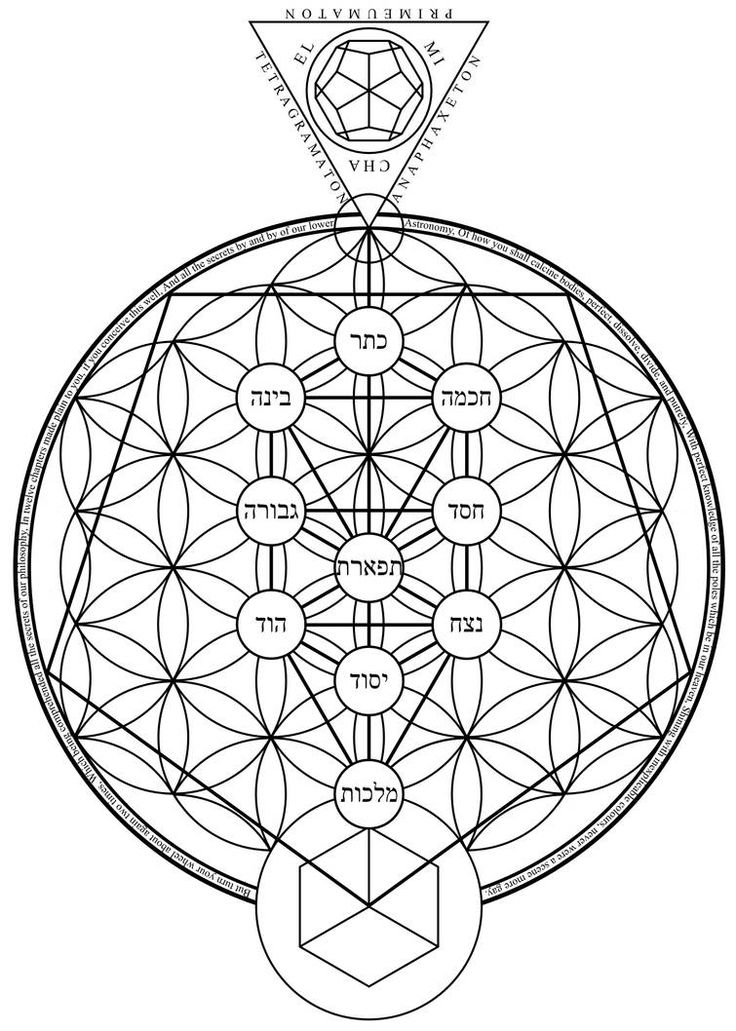 an image of a flower of life in the middle of a circle