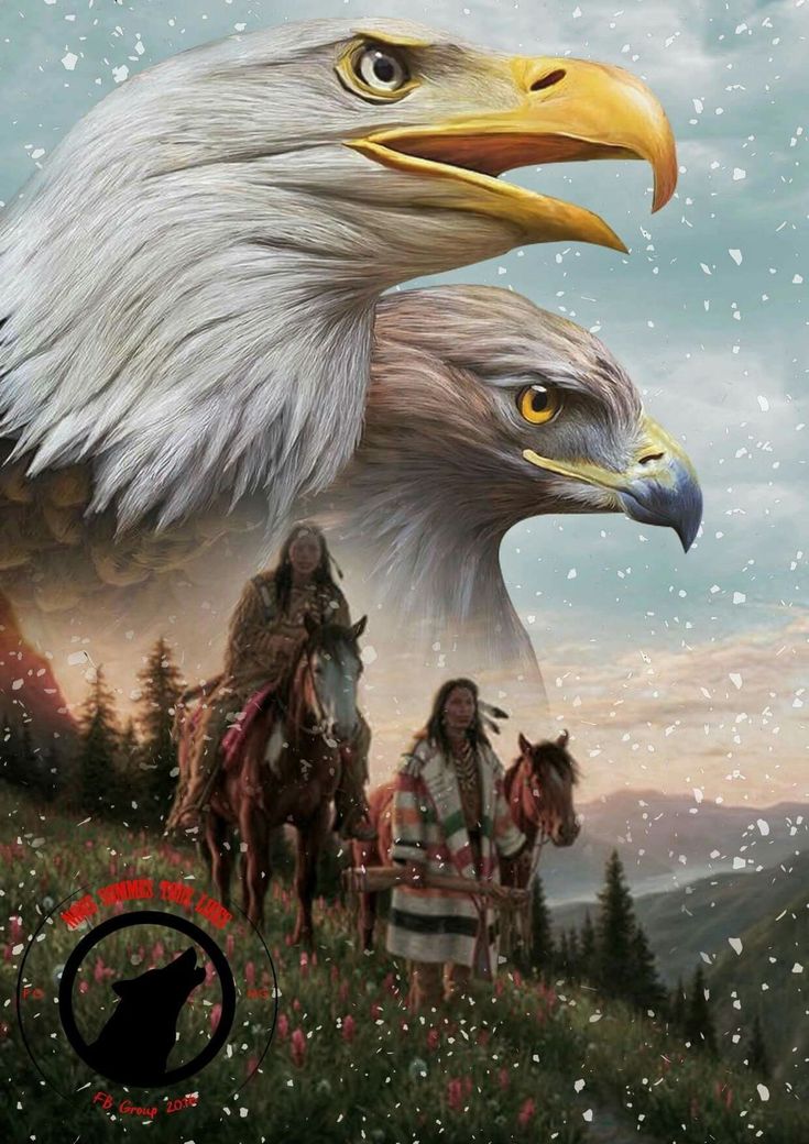 American Eagle Art, Native American Wolf Art, Native American Art Projects, Native American Eagle, Native American Drawing, American Indian Artwork, Native American Prayers, Native American Wolf, Native American Paintings