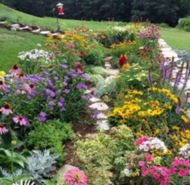 a garden filled with lots of colorful flowers