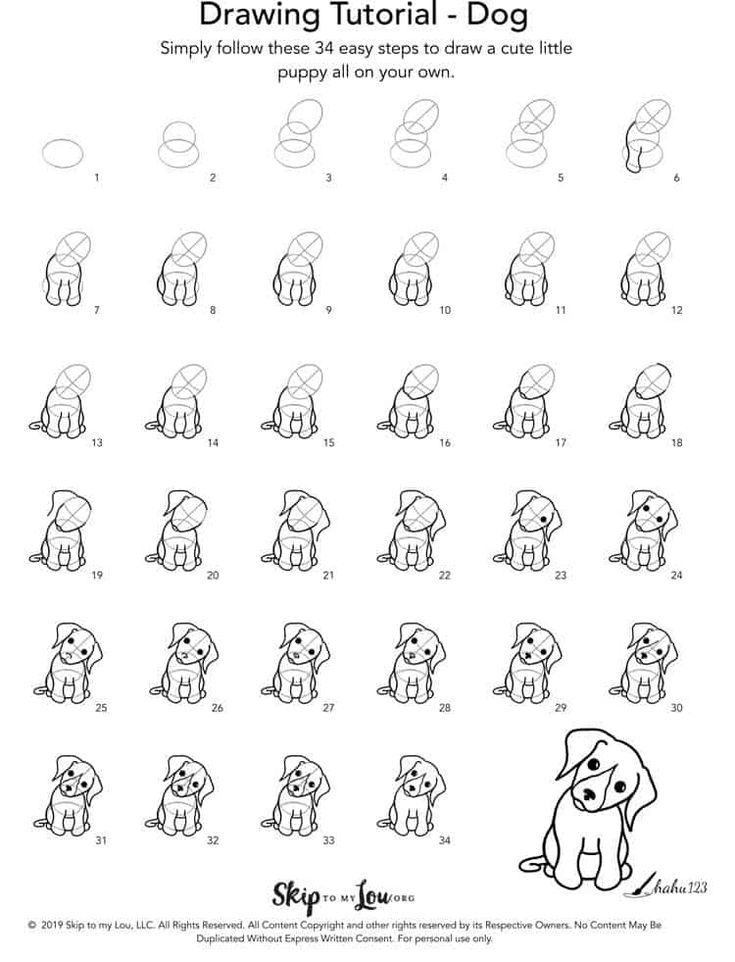 How to Draw a Dog {Easy Tutorial} | Skip To My Lou | Dog drawing ...