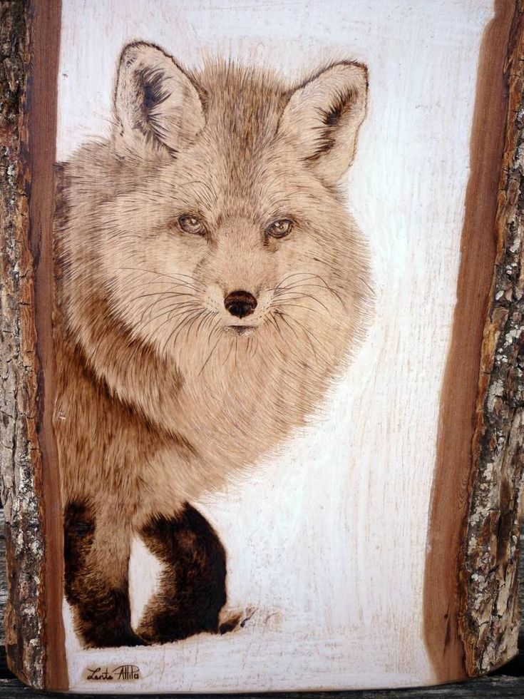 a drawing of a fox on a piece of wood