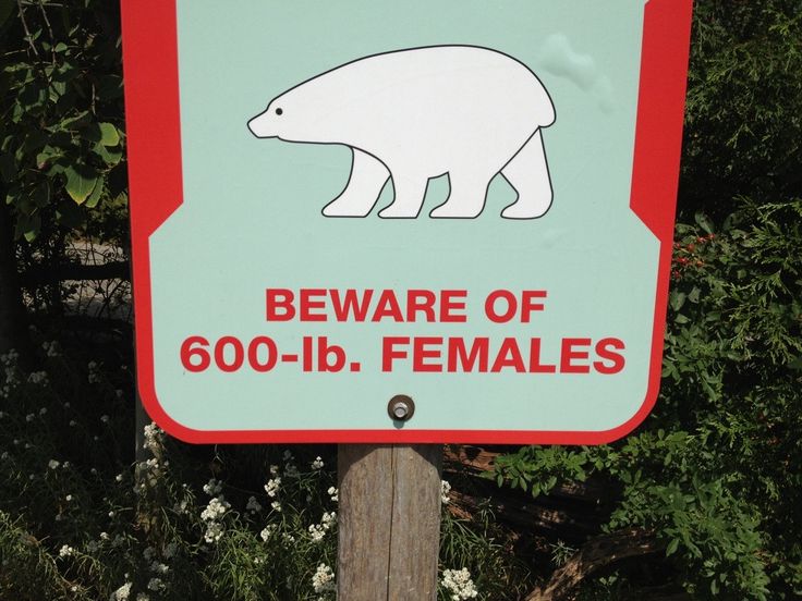 bear warning sign Hilarious Stuff, 10 Funniest, Easily Offended, Epic Fails, Having A Bad Day, Funny Signs, Funny Meme, Makes Me Laugh, The Funny