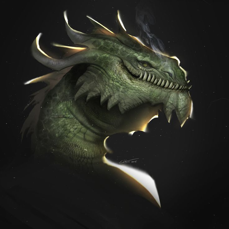 a green dragon with its mouth open in the dark