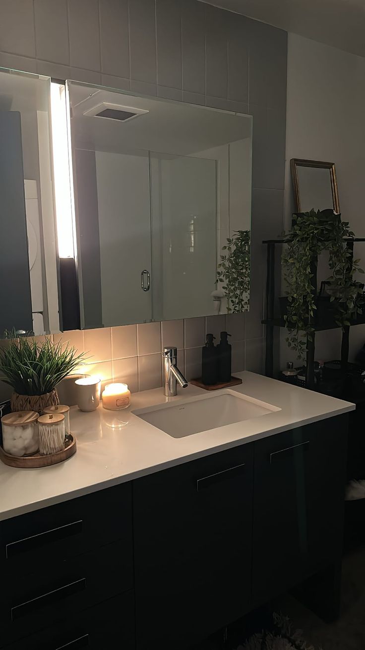 a bathroom with a sink, mirror and plants on the counter top in front of it