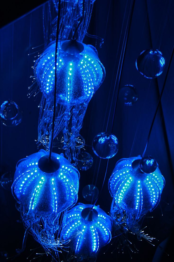 some blue lights hanging from the ceiling in front of a black wall and glass vases