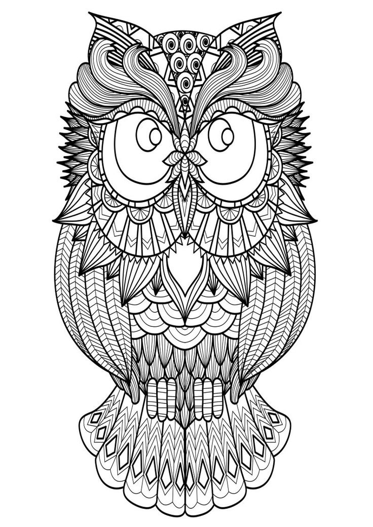 Mindfulness Coloring Owl | Gifts for Pet Lovers