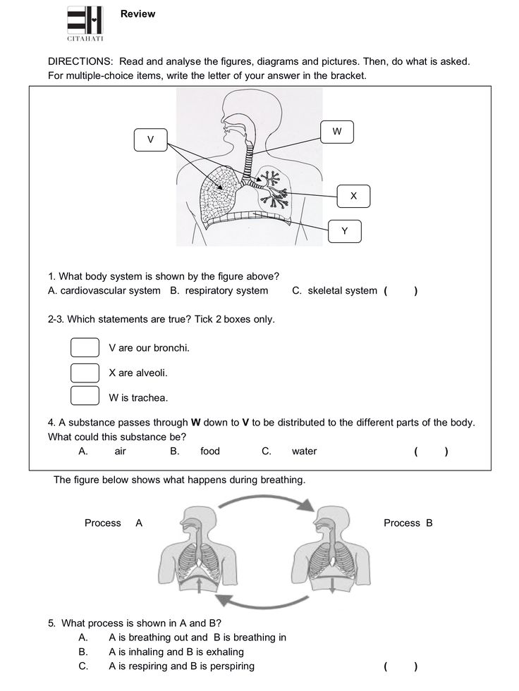 Review, Page 1