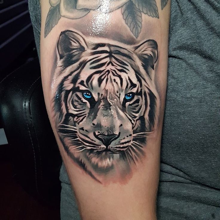 a man with a tiger tattoo on his arm