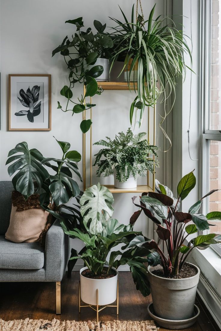 a living room filled with lots of green plants