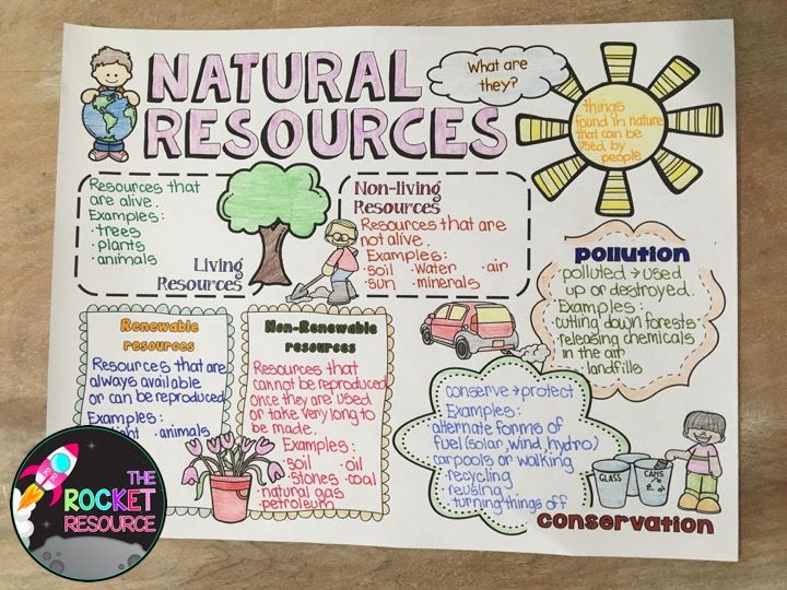 Natural Resources 4th Grade Worksheet