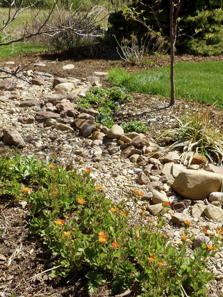 a rock garden bed with flowers and rocks