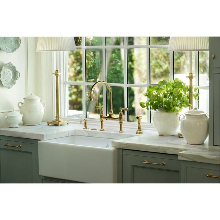 a kitchen sink sitting under a window next to a potted plant on top of a counter