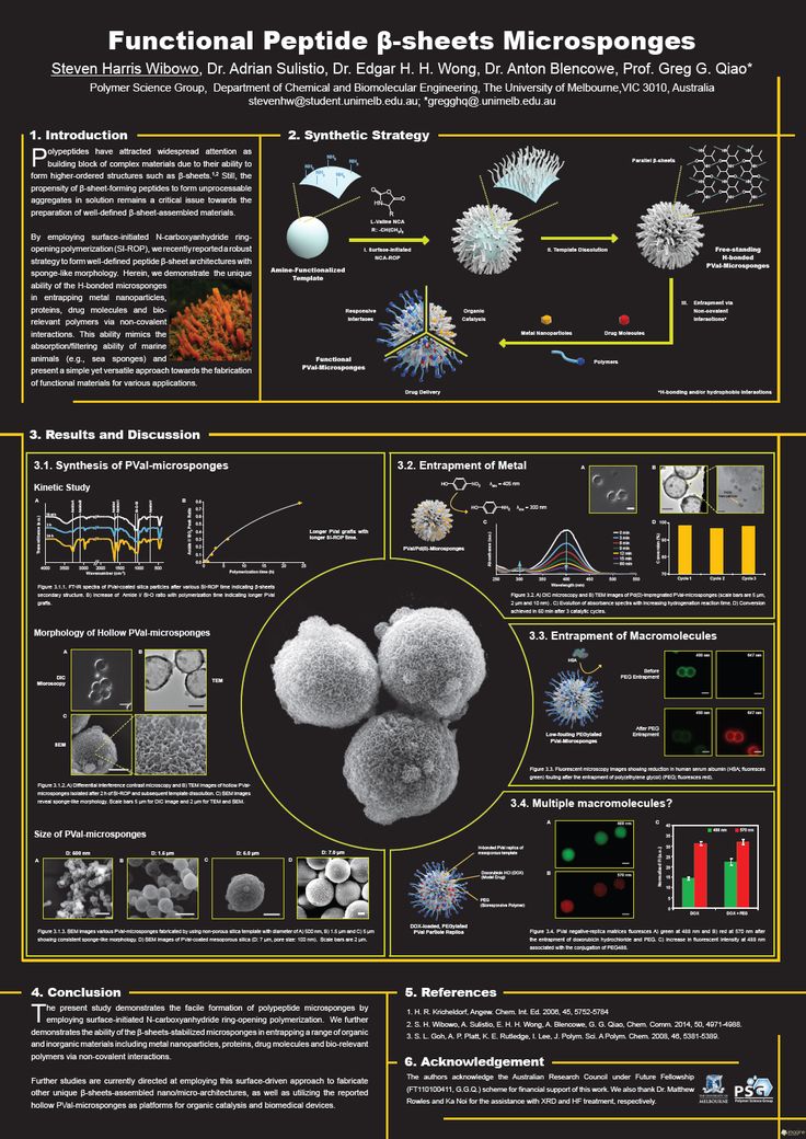 the poster shows different types of microscopes and their functions in this image are shown