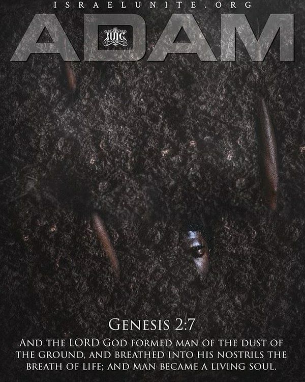 an ad for the bible's new book, adam