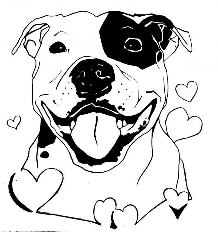 Pitbull Coloring Sheets