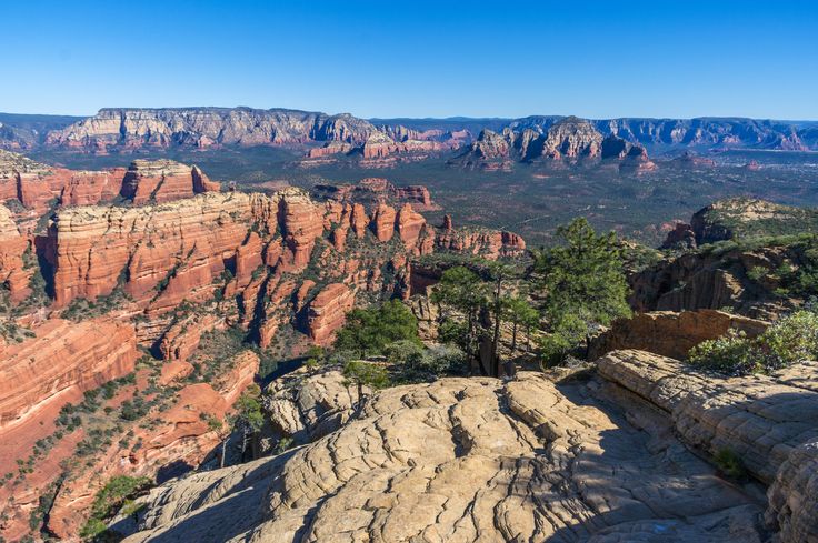 a scenic view of the grand canyons and mountains in the distance with trees growing out of them