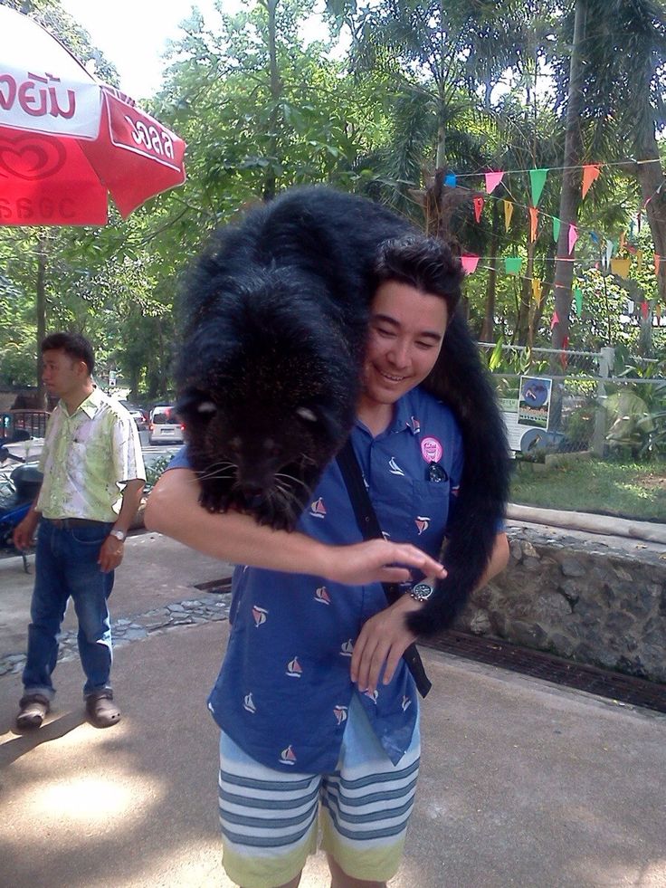 a man holding a black cat in his arms