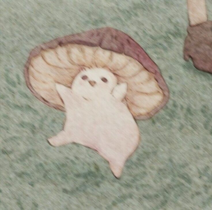 two little dogs that are standing in the grass near some mushroom hats and one has a ghost face on it's head