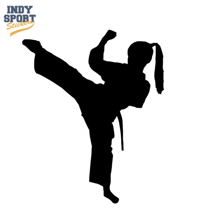 an image of a man doing karate