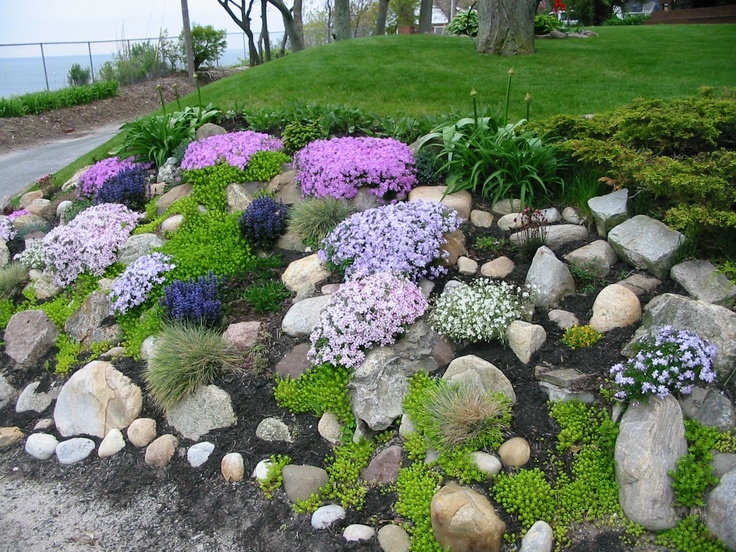 a rock garden with purple and white flowers in the center, along side a road