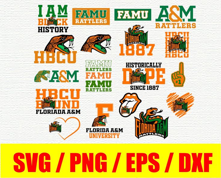 an orange and green logo with the words, i am famu asm history